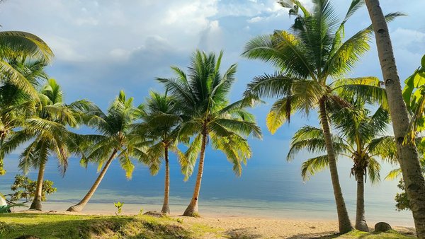 Voyager en solo : le guide complet